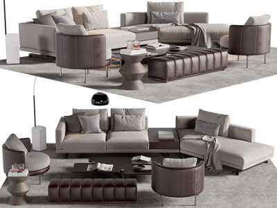 现代多人沙发、休闲椅子和茶几组合