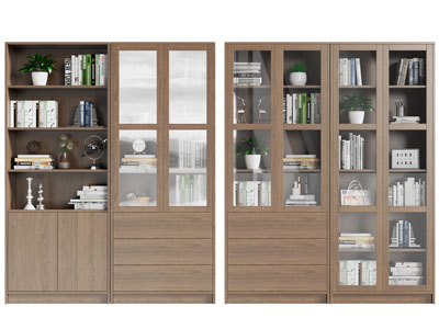 现代实木玻璃柜门的书柜