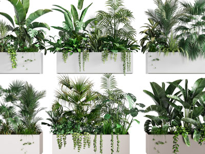 现代户外长方形花盆盆栽植物