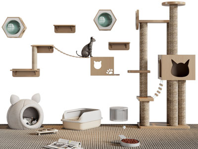 现代猫玩具猫架猫房子