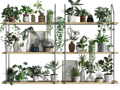 现代花架花盆盆栽植物