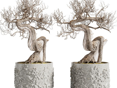 新中式雕花花盆枯树盆景盆栽