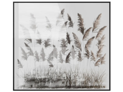 现代芦苇植物造池景观园艺小品