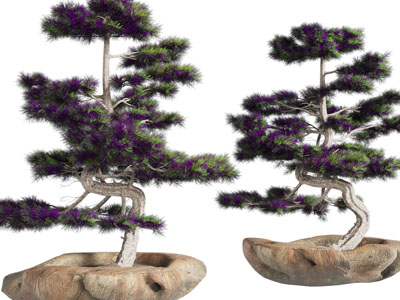 新中式松树盆景盆栽