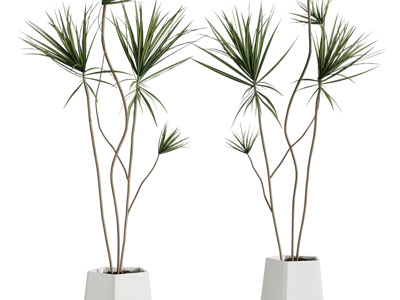 现代多边形花盆盆栽植物