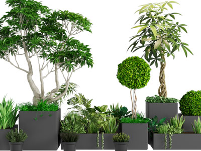 现代户外金属花盆盆栽植物