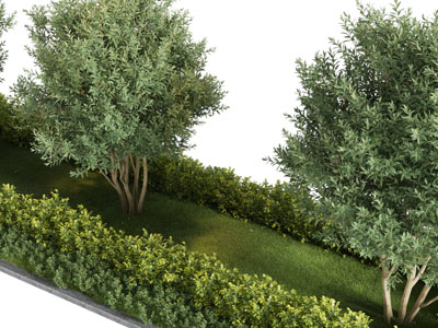 现代道路花坛绿植景观园艺小品