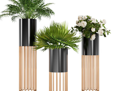 现代轻奢花盆盆栽植物