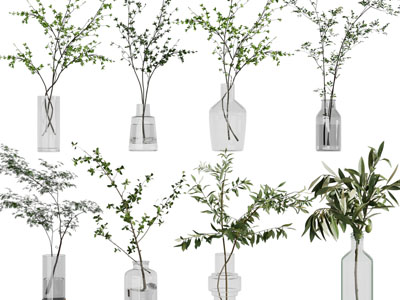 现代玻璃花瓶花卉树枝