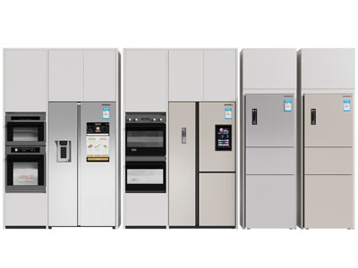 现代嵌入冰箱、烤箱的橱柜