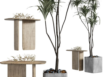 现代实木边几、盆栽植物3d模型 现代实木边几、盆栽植物