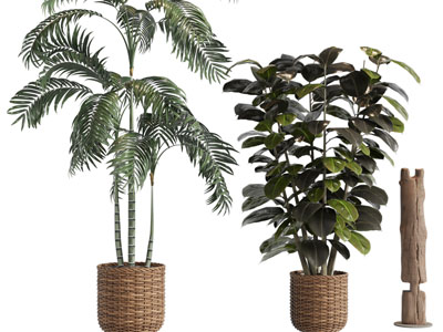 现代藤编花盆盆栽植物