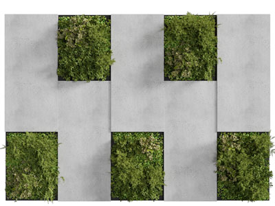 现代装饰植物的背景墙3d模型 现代装饰植物的背景墙