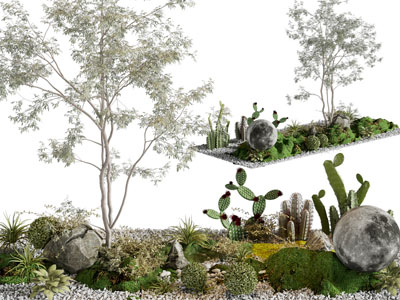 现代花园石头、树木景观园艺小品