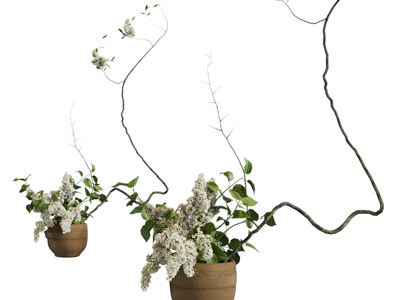 现代陶艺花盆盆栽植物