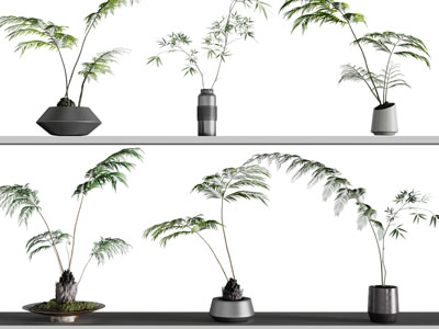 现代花瓶花卉、盆景盆栽