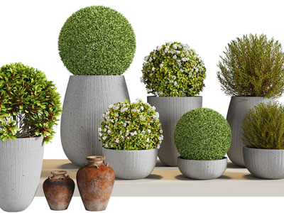 现代户外水泥花盆盆栽植物