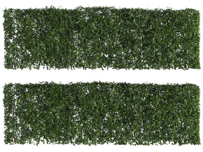 现代长方形景观灌木丛绿植