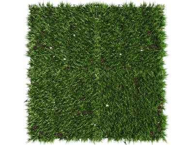 现代方形植物墙、无边框植物装饰挂画