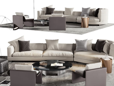 现代多人沙发、休闲椅子和茶几组合