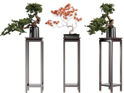 新中式松树盆景盆栽