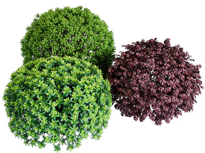 现代圆形灌木丛绿植