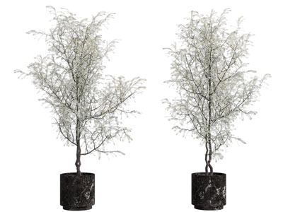 现代花盆干枝盆栽植物