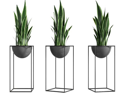 现代花架花盆盆栽植物