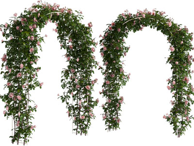 现代藤蔓植物婚礼花架、门拱3d模型 现代藤蔓植物婚礼花架、门拱
