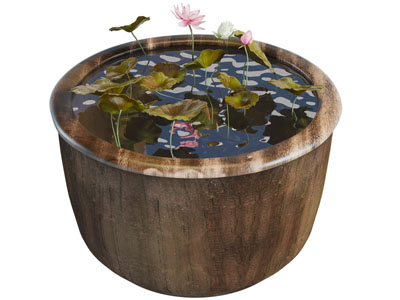 新中式水缸荷花景观园艺小品