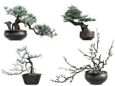 中式陶艺花盆盆景盆栽