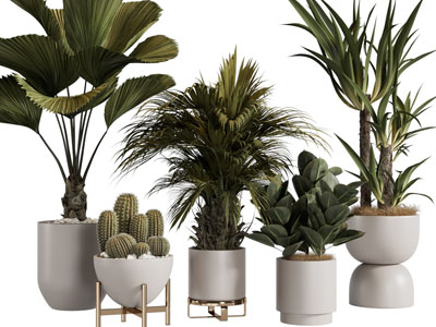 现代轻奢花盆盆栽植物