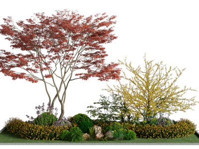 现代花坛树木景观园艺小品