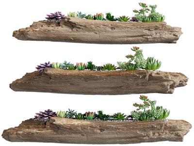 现代原木花盆多肉植物盆景盆栽