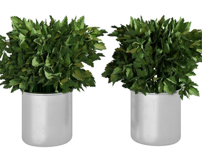 现代花盆绿植盆栽