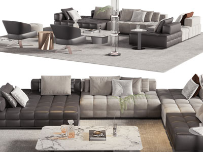 现代转角多人沙发、休闲椅和茶几组合