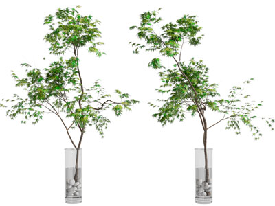 现代花瓶树枝