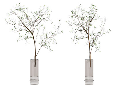 现代玻璃花瓶树枝