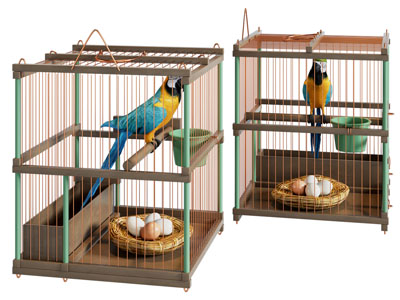 装在鸟笼里的鹦鹉3d模型 装在鸟笼里的鹦鹉