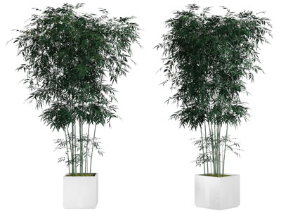 新中式方形花盆盆栽竹子植物