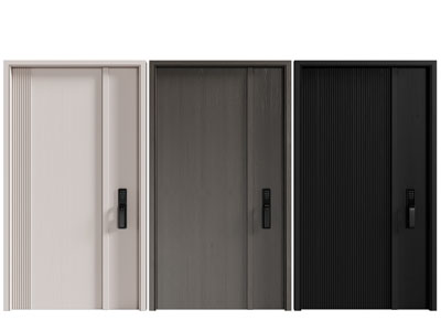 现代带密码锁的子母入户平开门