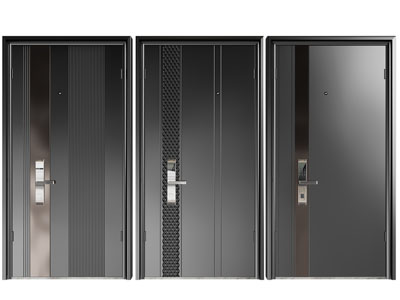 现代子母入户平开门