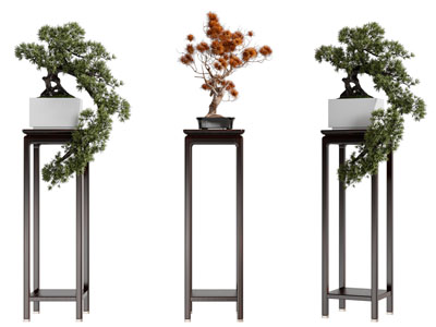 新中式花架松树盆景盆栽