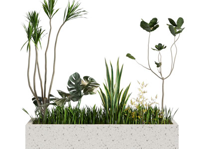 现代户外花坛花草绿植景观园艺小品