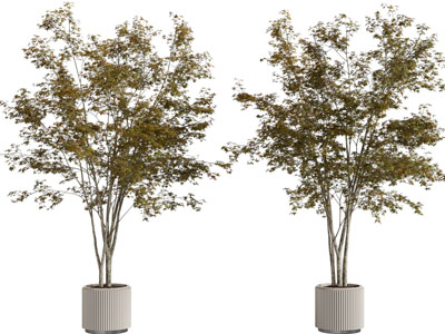 现代花纹花盆树木盆栽植物