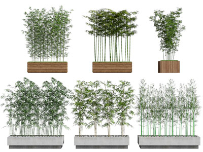 新中式花盆竹子