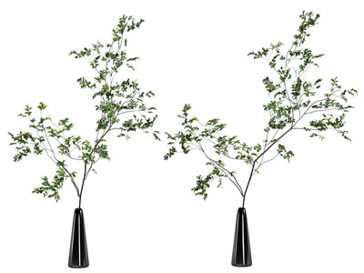 现代黑色花瓶花卉