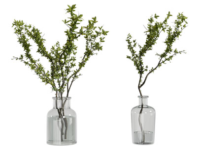 现代玻璃花瓶花卉