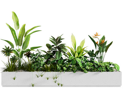 现代花坛花草植物景观园艺小品