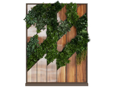 现代植物背景墙、造型植物墙